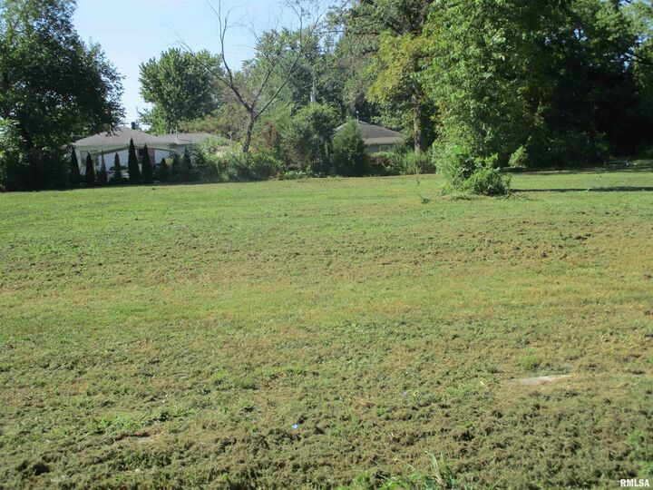 Property Photo:  0000 Buchanan Street  IL 62812 