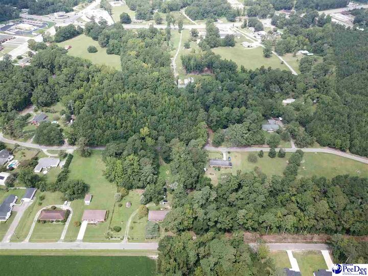 Property Photo: Tbd Hickorytree Dr. SC 29550-7401