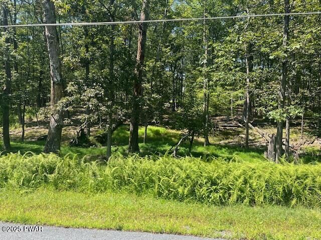 Property Photo: Lot 2603 Beaver Run PA 18337