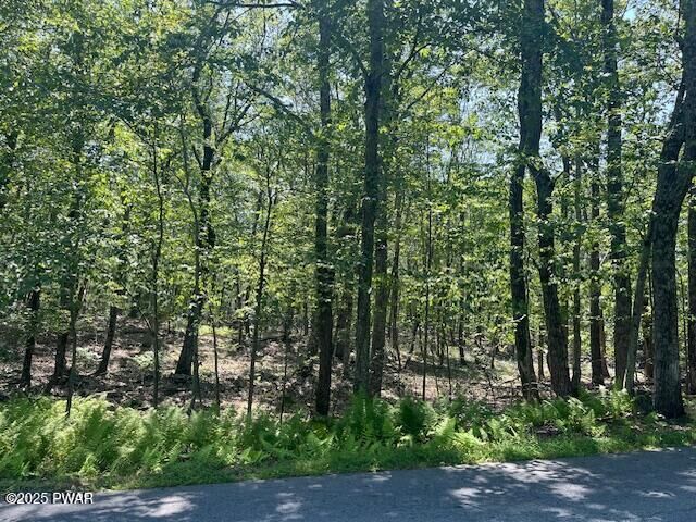 Property Photo: Lot 2611 Iroquois Trail PA 18337
