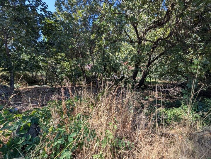Property Photo:  962 S Arthur St  WA 99002 