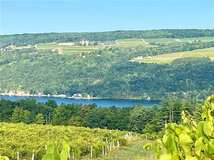 0 Coryell Road  Hammondsport NY 14840 photo