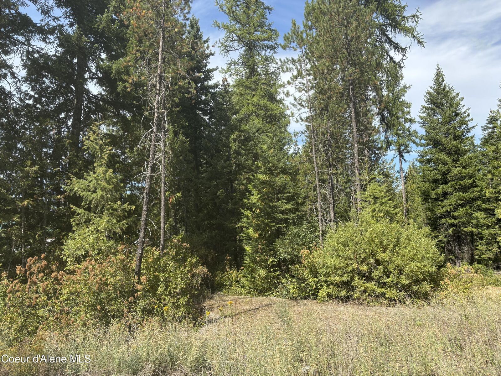 Property Photo:  4757 W Spirit Bend Ave  ID 83869 