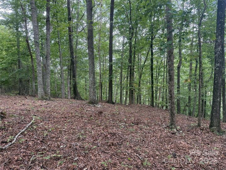 Property Photo: 1187 Grandview Peaks Drive 187 NC 28761