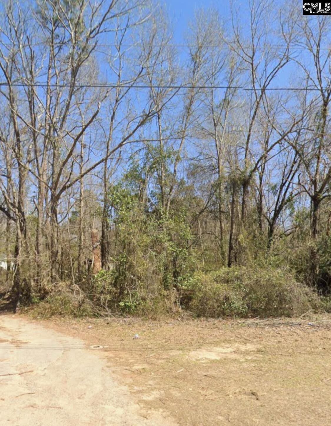 Property Photo: 0 Savannah Hwy, Swansea SC 29160