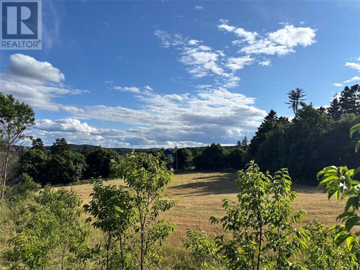 Property Photo:  21-29 Hiscock'S Lane  NL A1B 3K3 