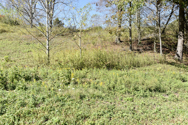 Property Photo:  0 E Esculapis Fork Road  KY 41179