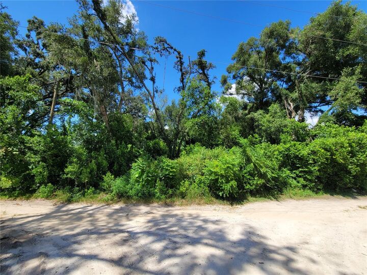 Property Photo: 36795 Conley Street FL 33541