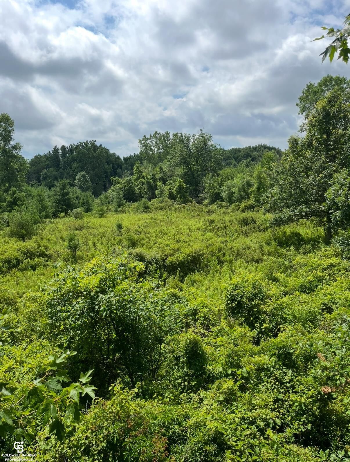 Property Photo: Yale Rd Road MI 48097