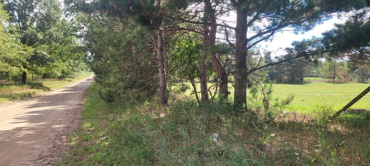 Property Photo: N 88th Ave Avenue MI 49449