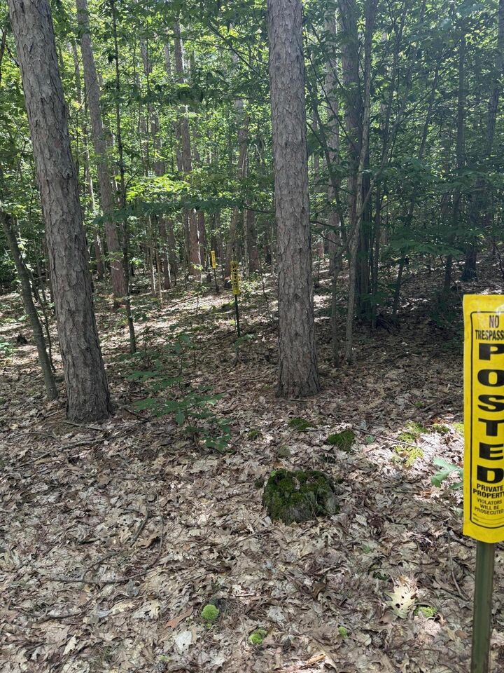 Property Photo: 0 5 Mile Road MI 49421