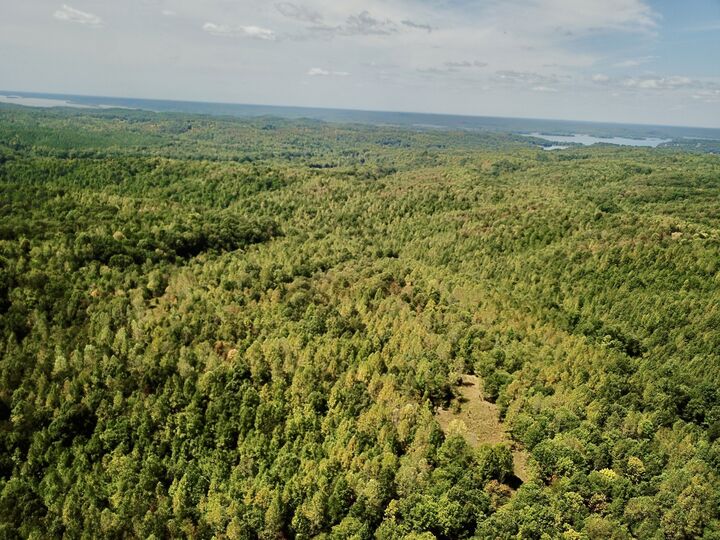 Property Photo: 0 Richland Ridge Rd TN 37185