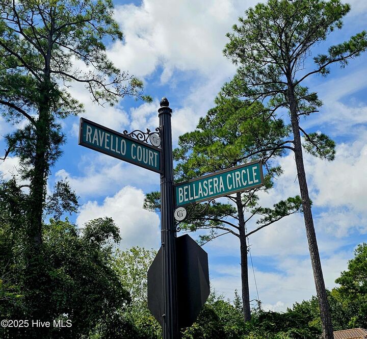 Property Photo:  9675 Ravello Court  SC 29579 