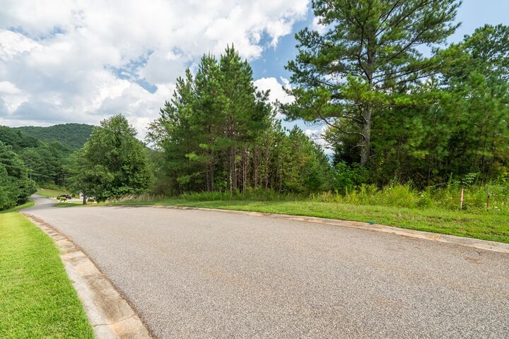 Property Photo:  Lot 29 Sunset View  GA 30512 