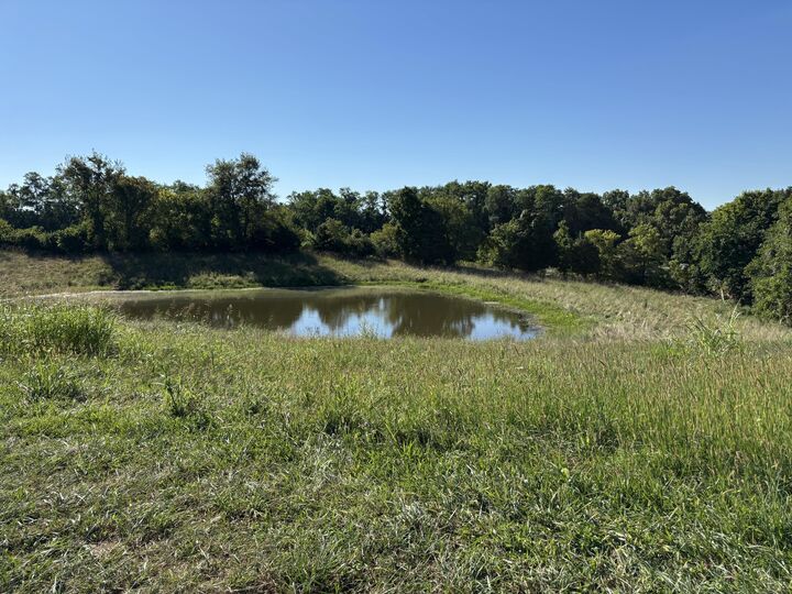 Property Photo: 0 Little Sugar Creek Road KY 41095