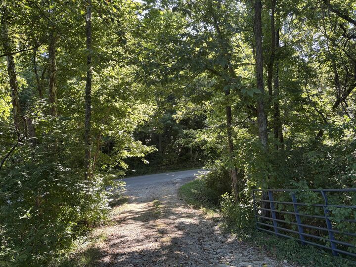 Property Photo:  0 Little Sugar Creek Road  KY 41095 