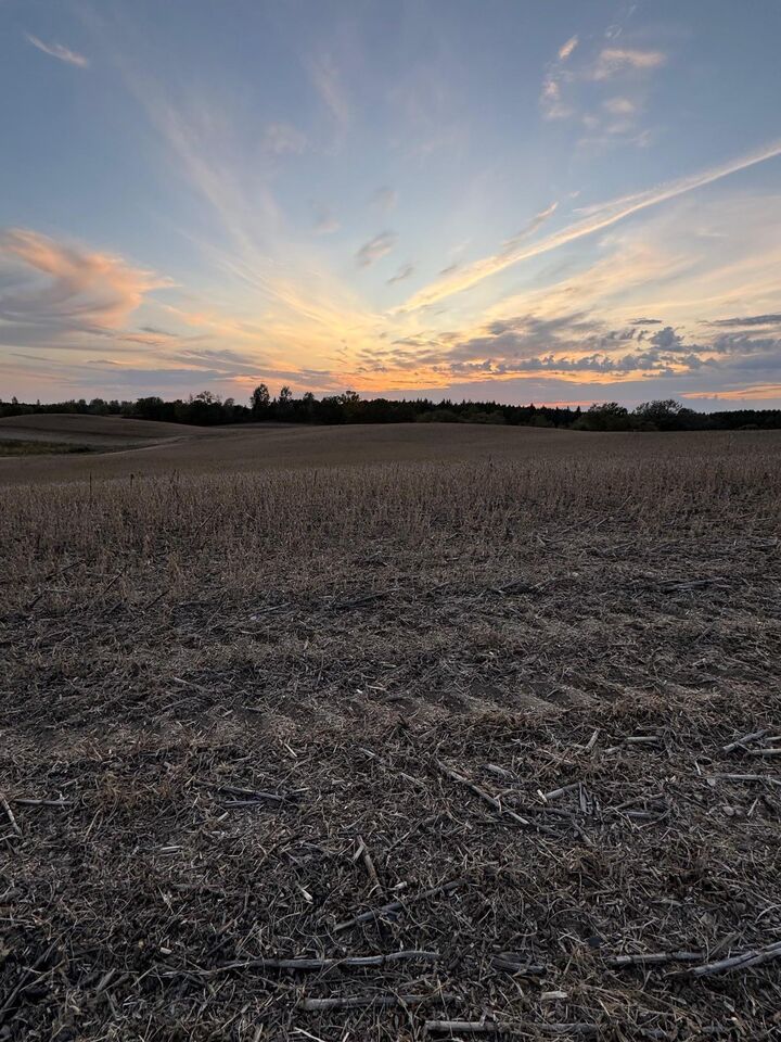 Property Photo:  Tbd Placid Drive  MN 56528 