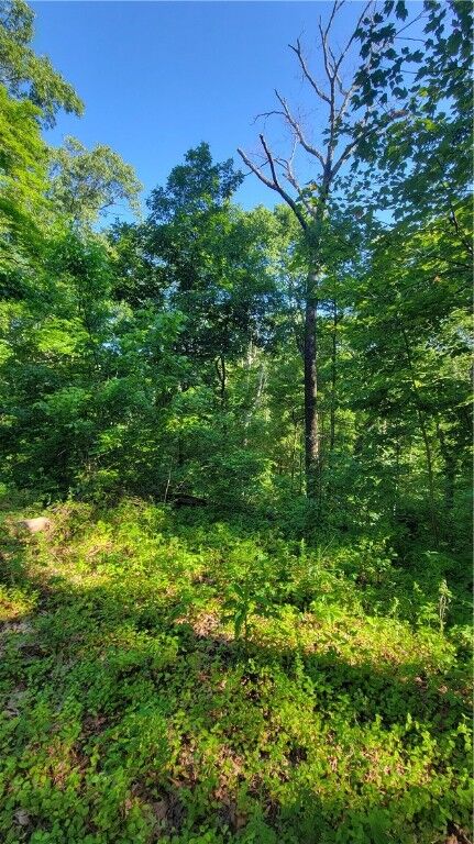Property Photo:  Wolverton Lane  AR 72714 