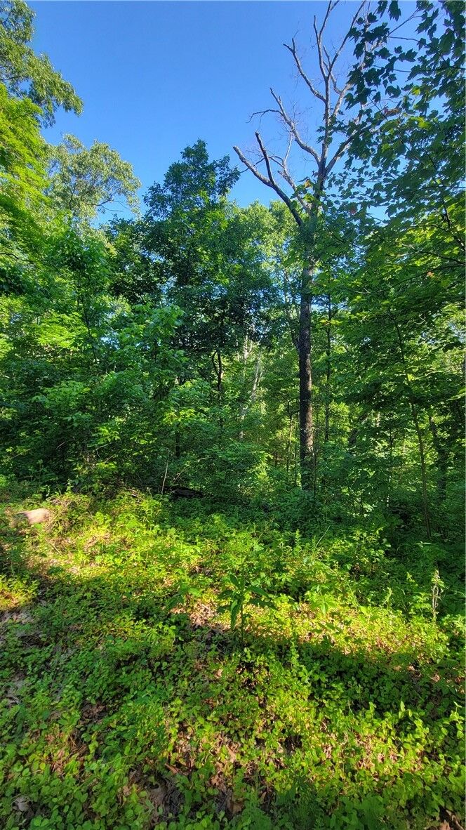 Property Photo:  Wolverton Lane  AR 72714 
