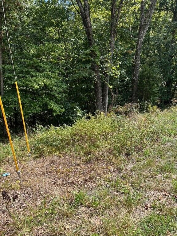 Property Photo: Lot 22 Haverhill Drive AR 72714