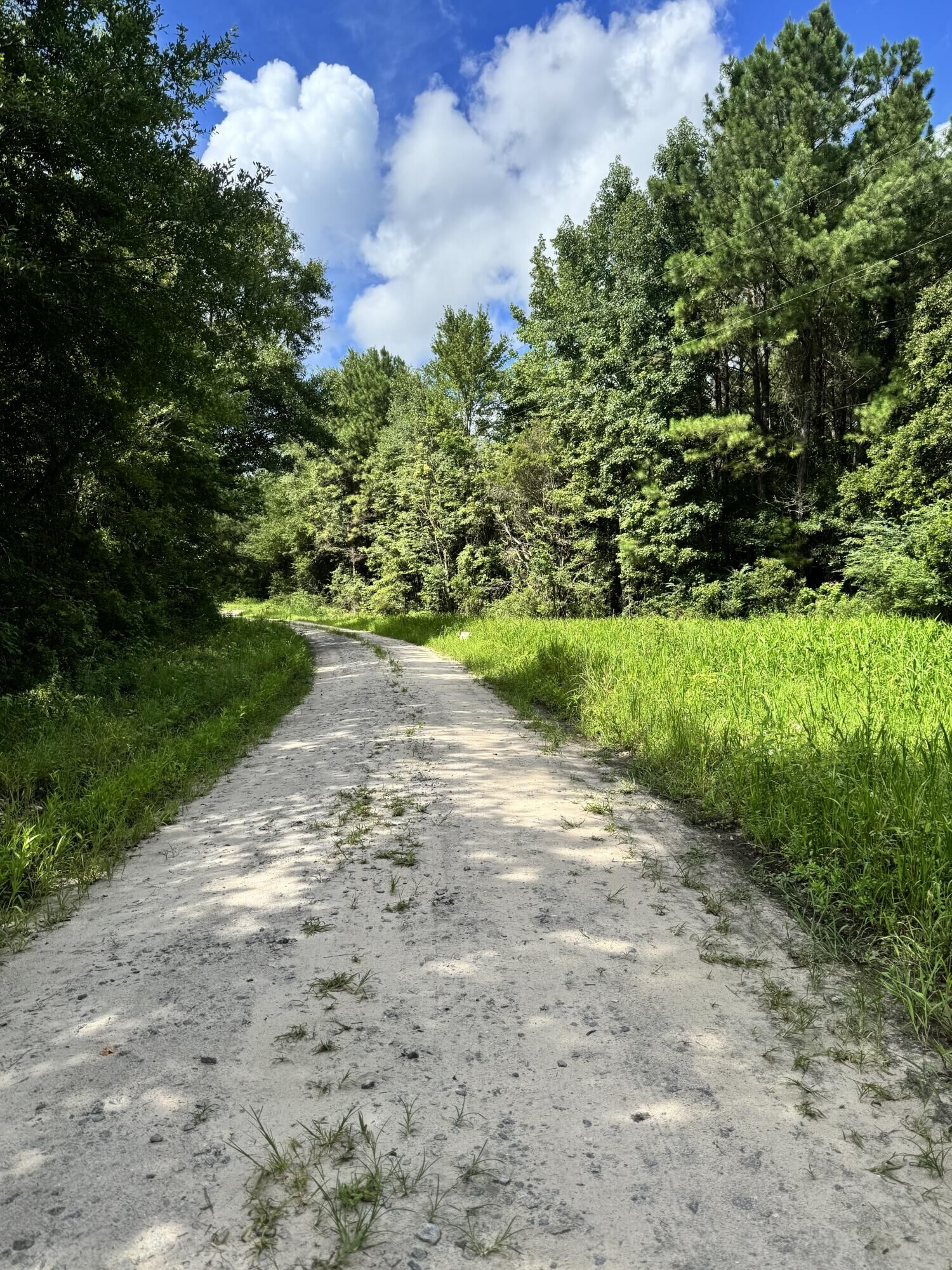 Property Photo: 1326 Burr Hill Road SC 29435