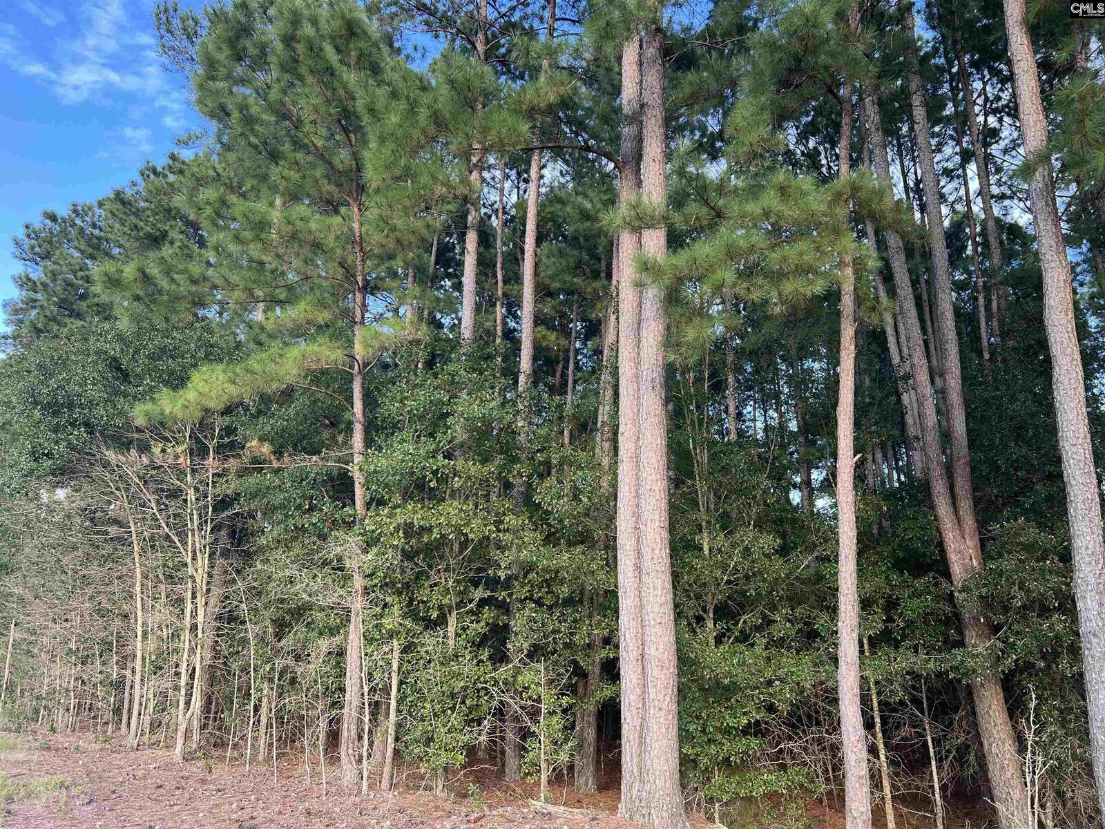 Property Photo: 0 Tindal SC 29123