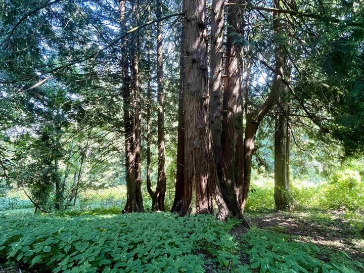 Property Photo:  6080 Ross Road  BC V2R 4S6 
