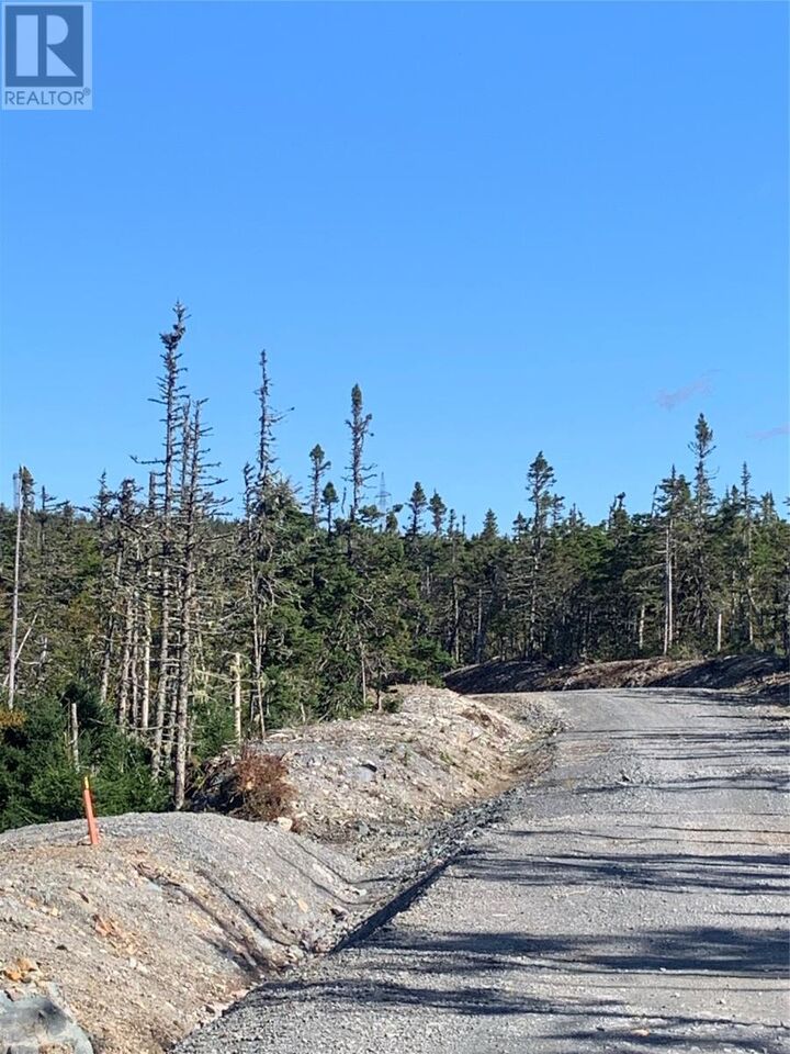 Property Photo:  Lot 14 Halleran Trail  NL A0B 1G0 