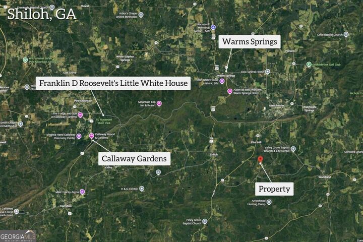 Property Photo: 2450 Chestnut Grove Road GA 31826