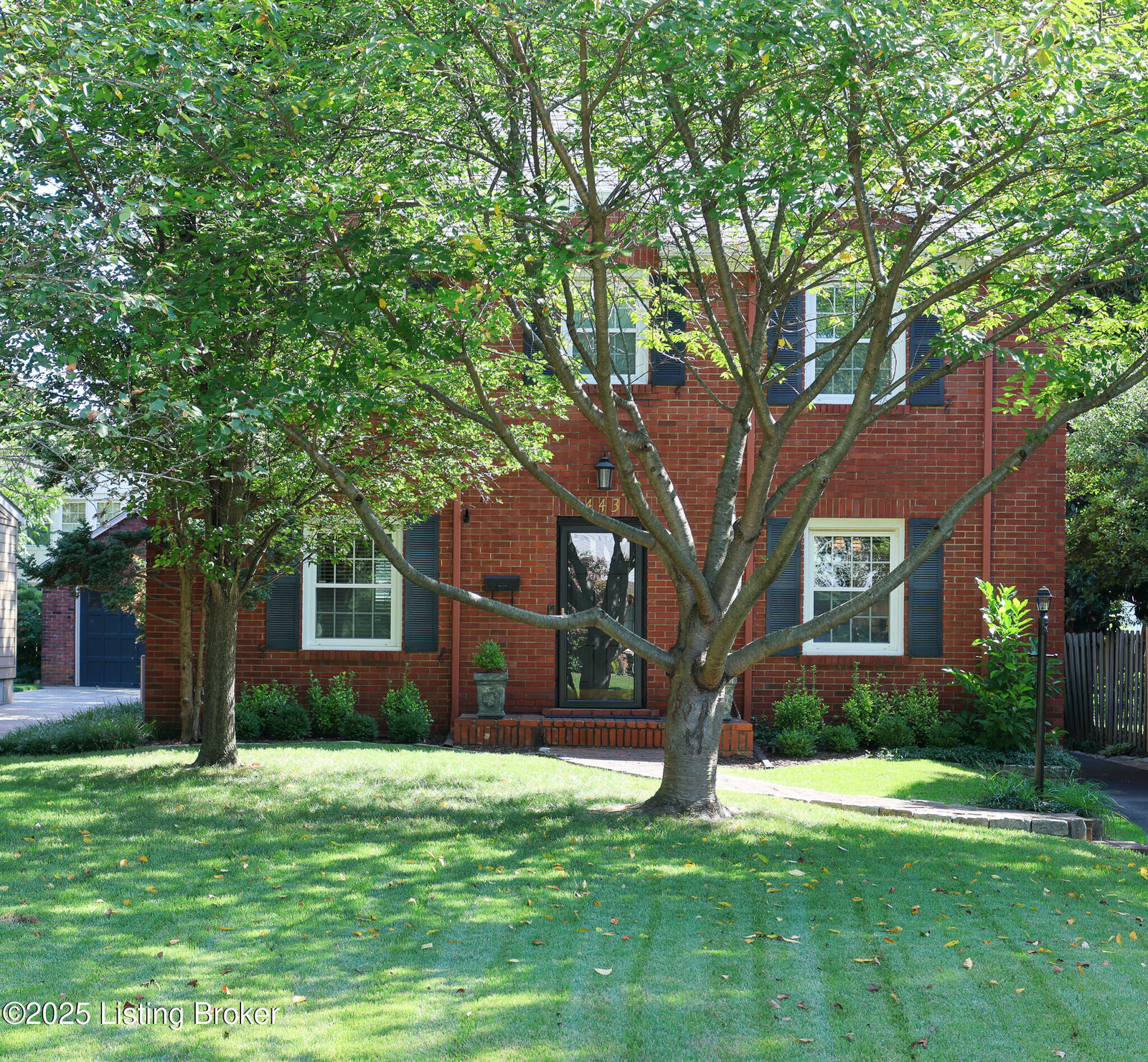 Property Photo:  443 University Ave  KY 40206 