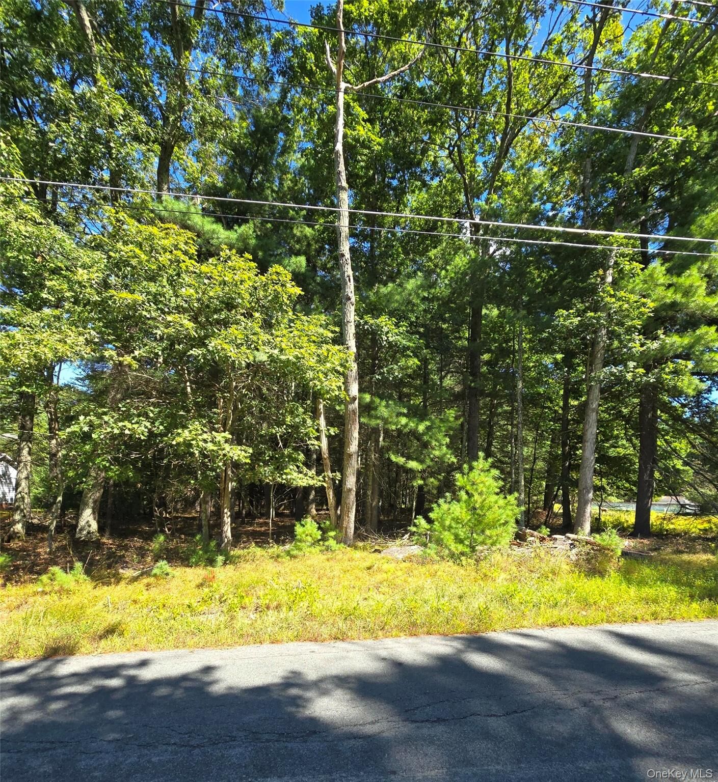Property Photo:  White Road  NY 12737 