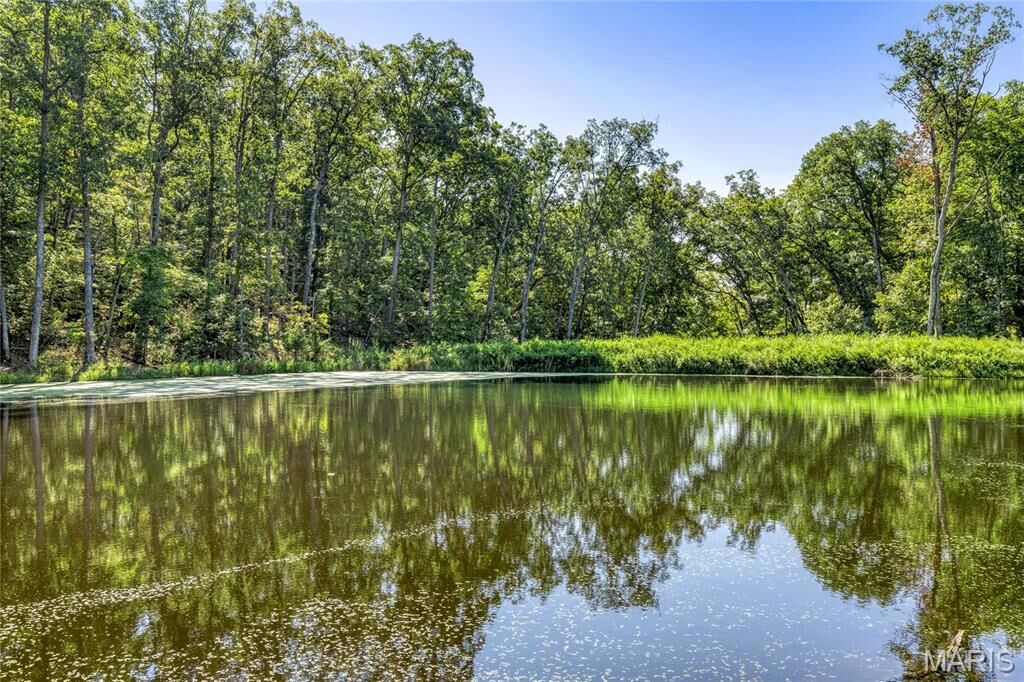 Property Photo:  2467 Alpine Lake Drive  MO 63390 