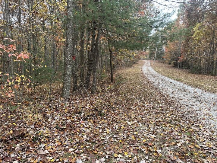 Property Photo:  6 Wilderness Tr  TN 37841 
