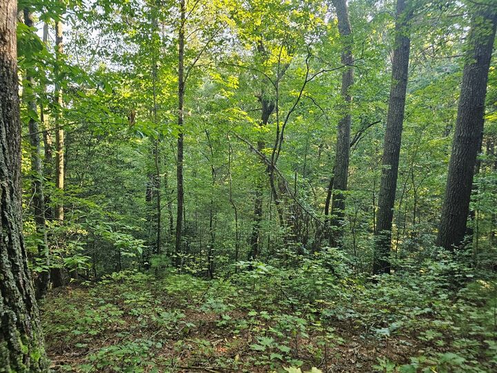 Property Photo:  0 Bates Drive  GA 30540 