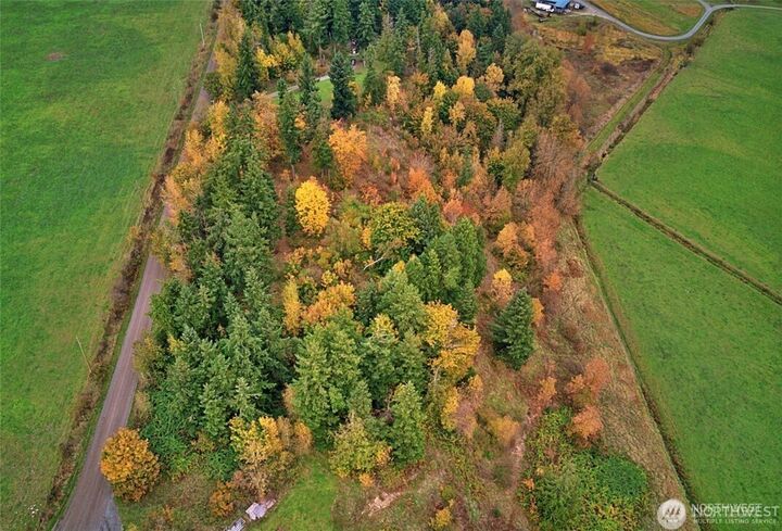 Property Photo: 19441 Cougar Mountain Airport Road SE WA 98597