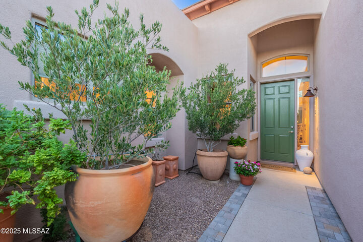 Property Photo:  8075 N Painted Feather Drive  AZ 85743 