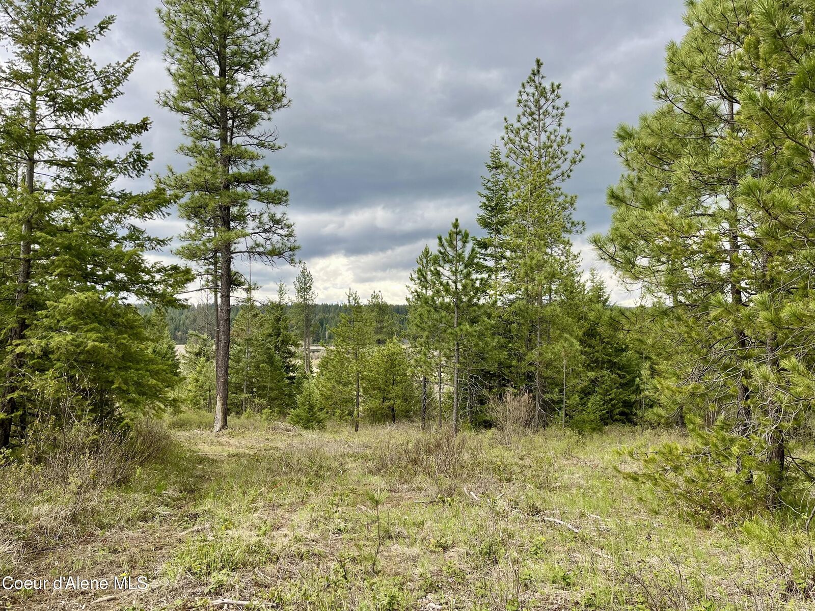 Property Photo: 12 Acres Elizabeth Ln ID 83801