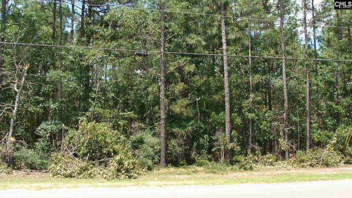 Property Photo: 816 Meadowfield SC 29053