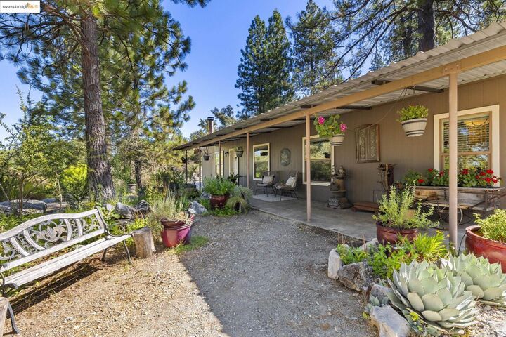 22389 Parrotts Ferry 1  Sonora CA 95370 photo