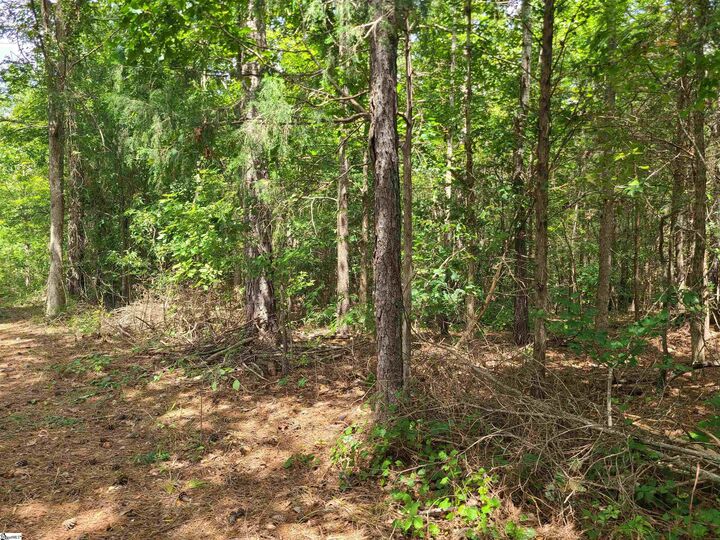 Property Photo:  Deer Valley Road  SC 29384 