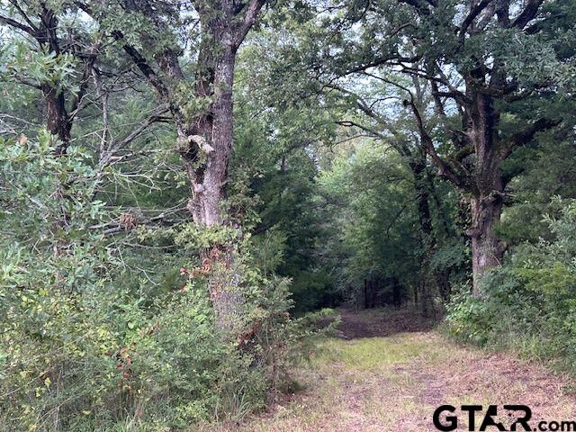 Property Photo: Tbd W Hwy 80 TX 75773