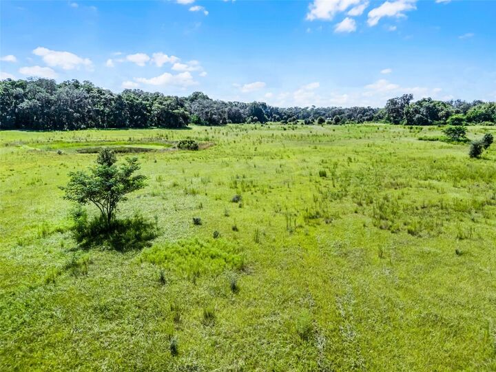 Property Photo: 7466 Vivian Lane FL 32818