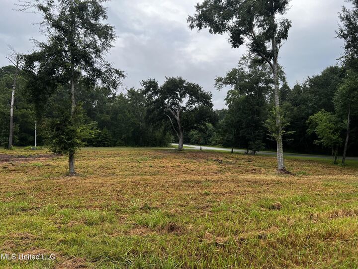 Property Photo: Sand Pine Cove MS 39553