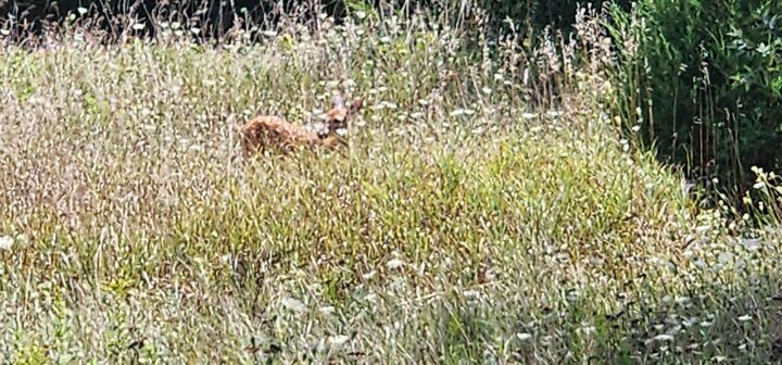 Property Photo:  Vl Hewitt Road  MI 49230 
