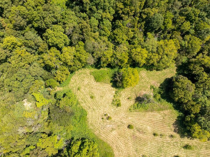 Property Photo:  4125 Dry Creek Rd  TN 38551 