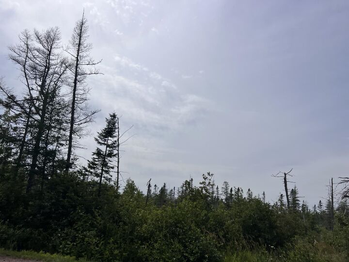 Property Photo:  Rte 12 Tyne Valley  PE C0B 2C0 