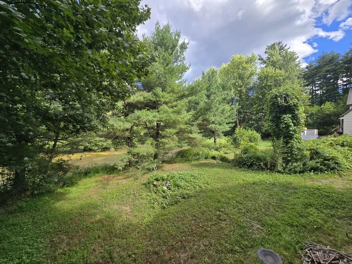 Property Photo: 205 Camp Street CT 06062
