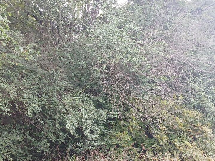 Ranch Trail Road  Eufaula OK 74432 photo