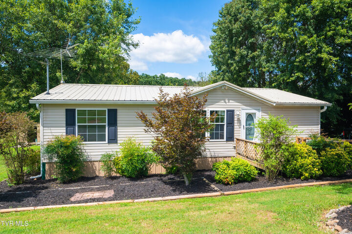 229 Davy Crockett Road  Limestone TN 37681 photo