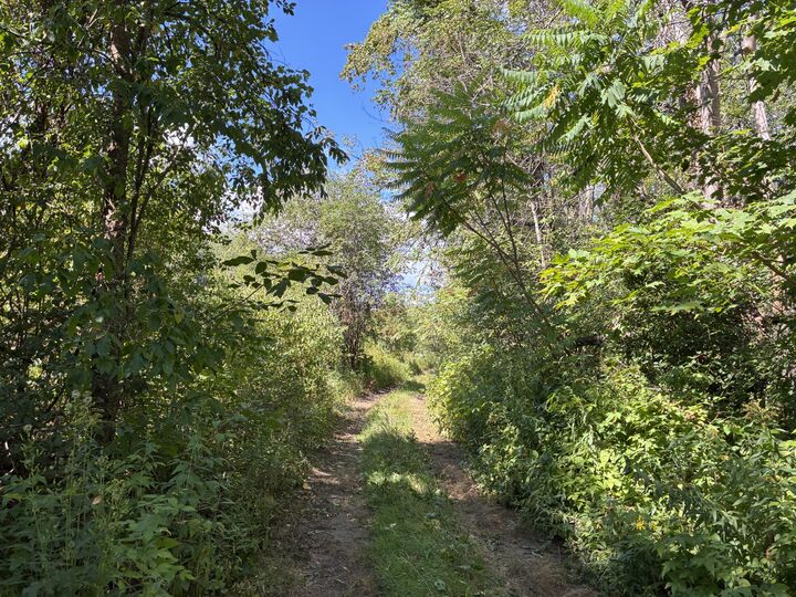 Property Photo:  000 Seymour Road  NY 12992 